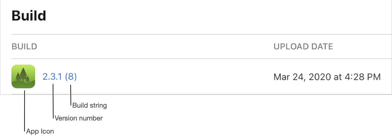 截屏显示了 iOS 平台页面上构建版本的详细信息。在“构建版本”部分,左侧是 App 图标、版本号、构建版本字符串,右侧是上传日期。
