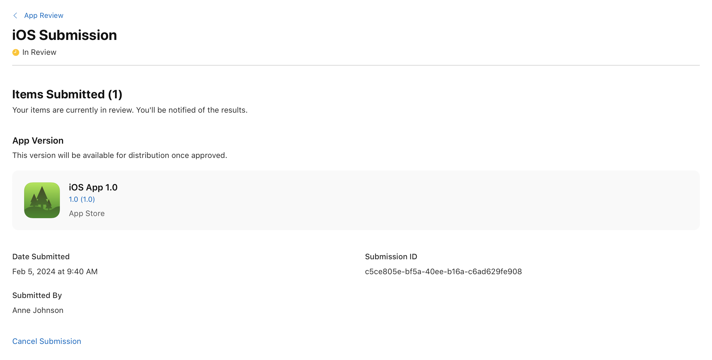 截屏为“iOS 提交”页面，其中“已提交项目”部分列出了已提交的 App 版本，共 1 项。页面左下角有一个链接，点按即可取消提交。